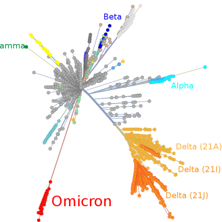 Steady prove that Omicron is spreading speedier than Delta variation: WHO