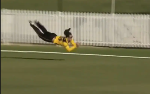 Observe Hilton Cartwright, an Australian cricketer, make a mind-blowing capture in the Marsh Cup.