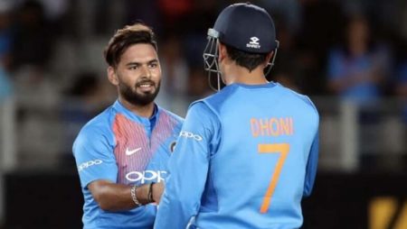 IPL 2022: Shane Watson’s Response When Asked To Compare MS Dhoni And Rishabh Pant