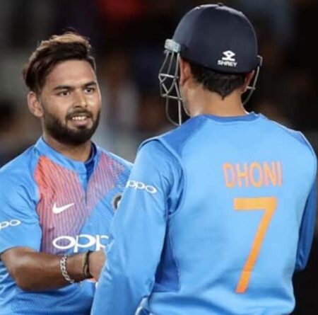 IPL 2022: Shane Watson’s Response When Asked To Compare MS Dhoni And Rishabh Pant