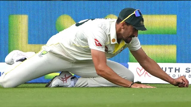 MCC explains why Mitchell Starc’s catch of Ben Duckett was ruled not out