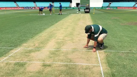 SCG curator Adam Lewis answers pitch concerns