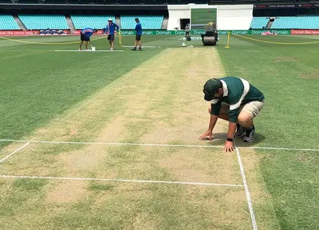 SCG curator Adam Lewis answers pitch concerns